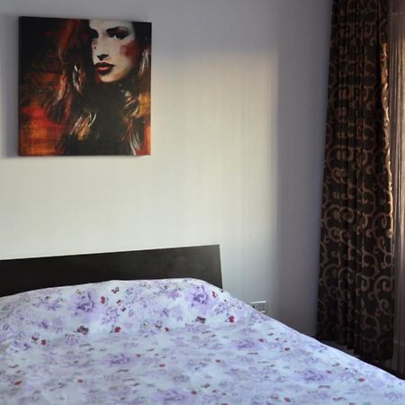 Vila Cu Trandafiri Cozy Apartments 2 Camere Bragadiru Eksteriør bilde