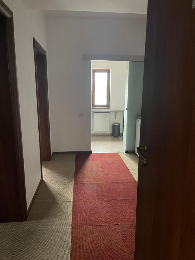 Vila Cu Trandafiri Cozy Apartments 2 Camere Bragadiru Eksteriør bilde